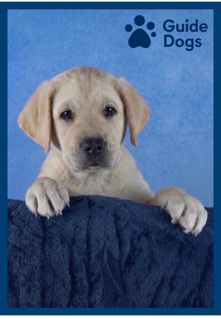 Meet Kaiser: The Rainham TSD Puppy
